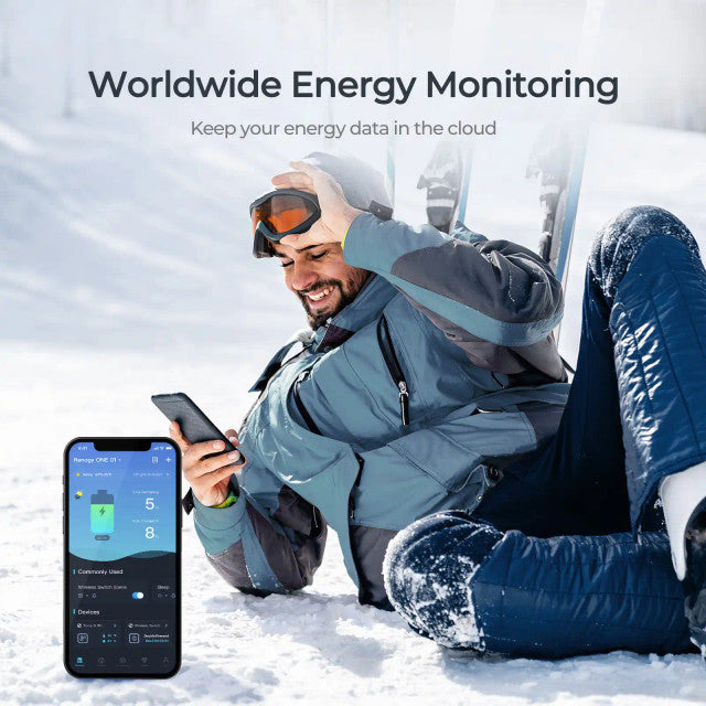 Renogy ONE Core - Smart Energy Monitoring System