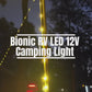 8 Metre 12V LED String Lights – Warm White & RGB